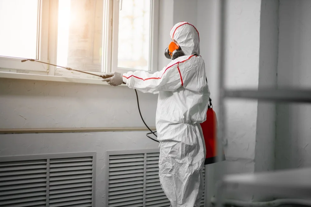 Professional mold remediation services in Wilmot, NH